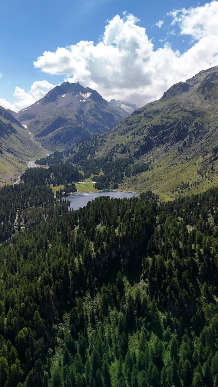 Lago Cavloc, Val Forno alpina, vicino al Passo del Maloja in Svizzera, video verticale aereo ripreso da drone