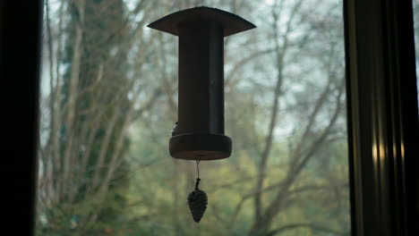 a sparrow coming at a bird table