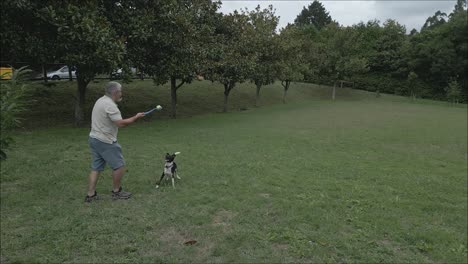 Un-Viejo-Europeo-Jugando-A-Tirar-La-Pelota-Con-Un-Perro-Blanco-Y-Negro-En-El-Parque