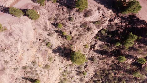 Luftdrohne,-Die-Vom-Felsigen-Waldboden-Im-Hochgebirge-Auf-Gran-Canaria,-Spanien,-Aufsteigt