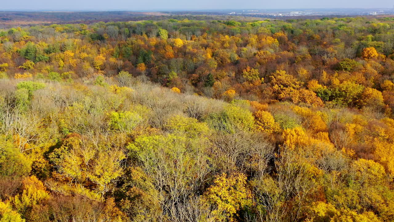 Bright nature background. Beautiful scenery of autumn forest. View from above on colorful treetops of woodland in fall season.