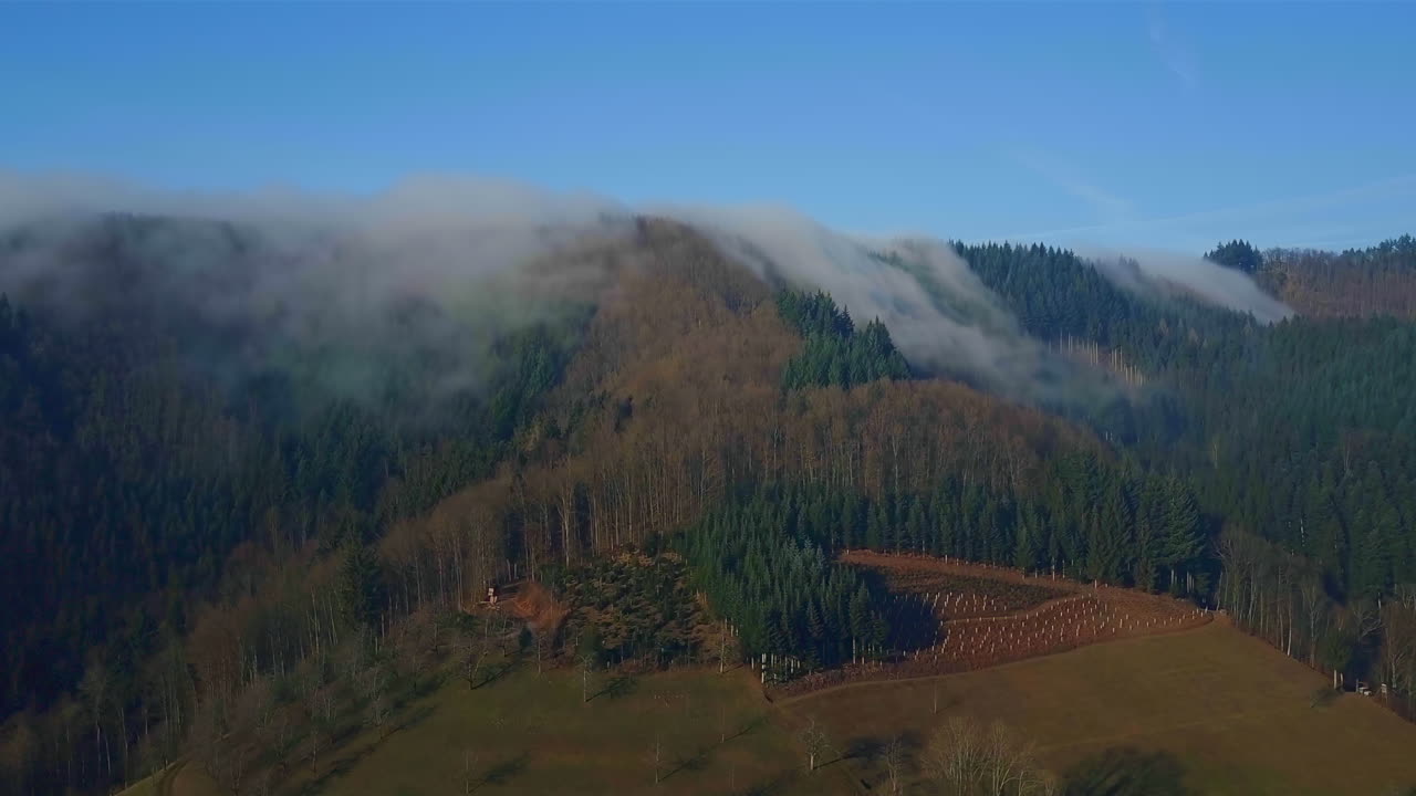 Forested hill covered with drifting fog. The sky is clear and blue on a sunny autumn day. Mystical atmosphere.