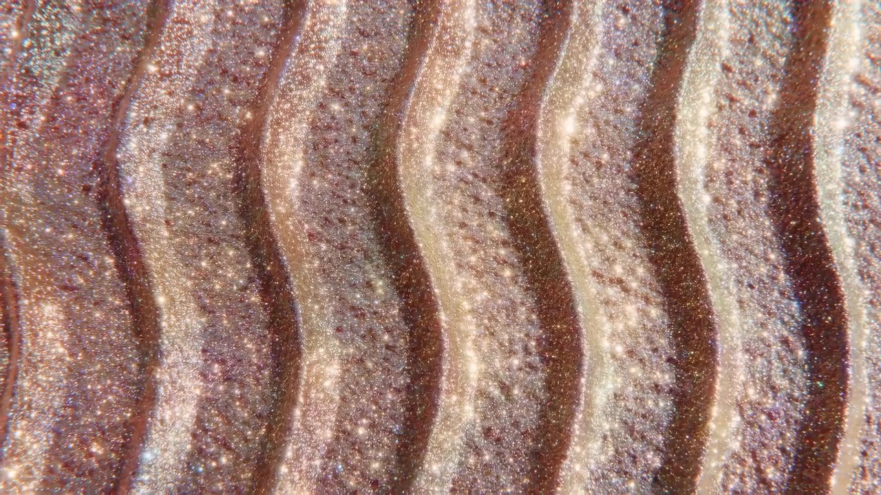 Macro view shows sparkling particles across repeating raised waves while reflections shift gently from frame to frame, creating dense texture, curved lines, and luminous metallic color variation.