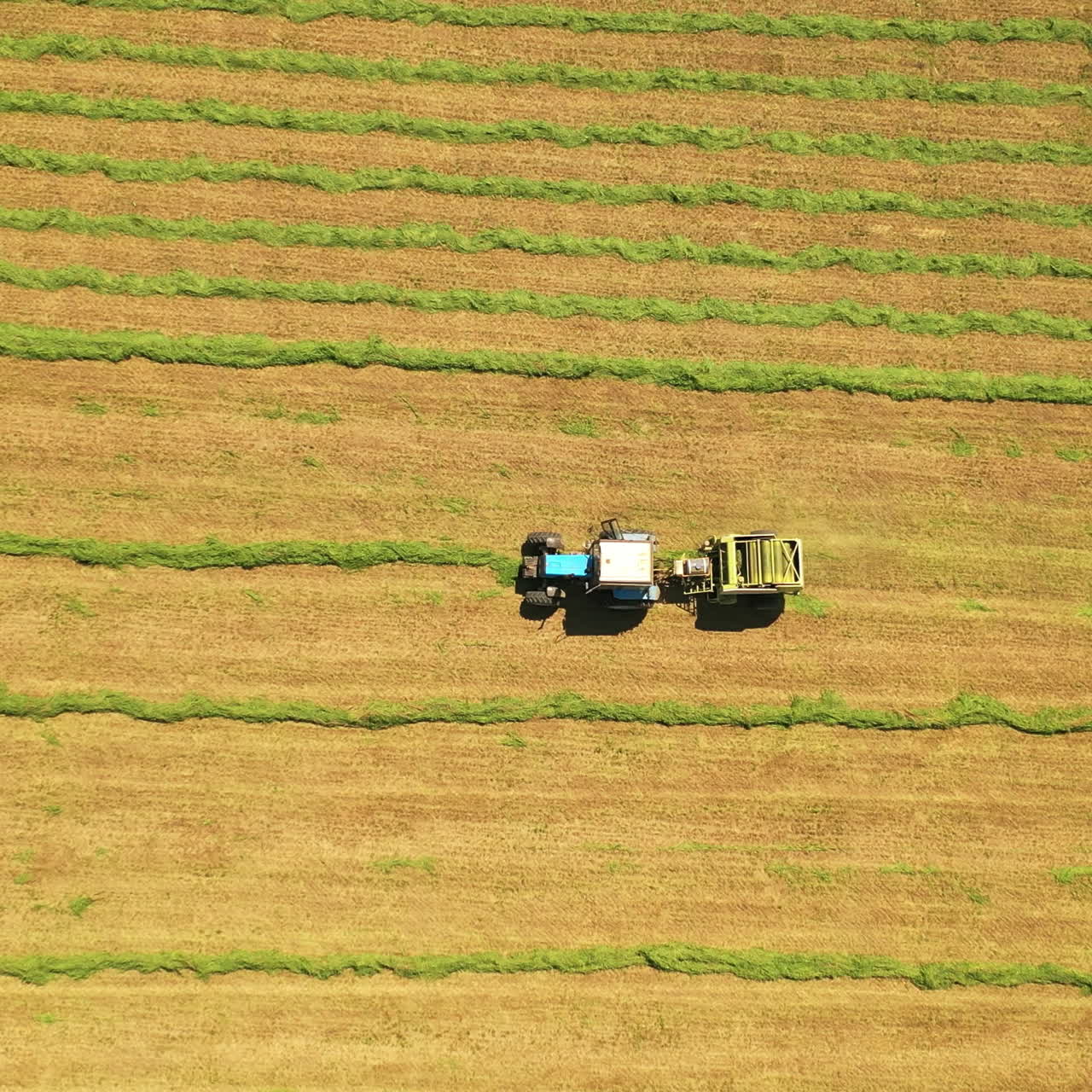 Aerial view of a tractor in the field. Agricultural machinery pressing green grass for cows on the natural background on the meadow in summer.