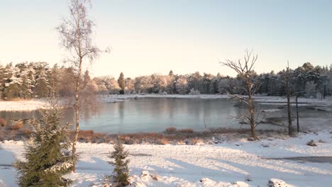 frozen winter landscape