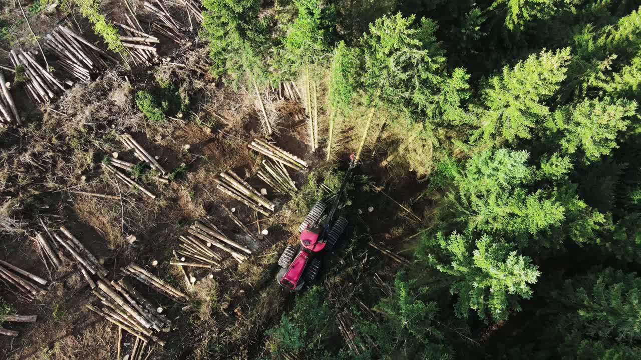 Top down view of Logging Equipment in Action at the Forest - processing spruce forest