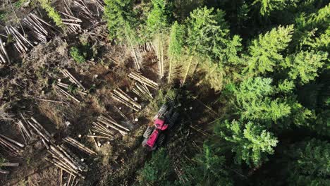 vista de arriba hacia abajo del equipo de tala en acción en el bosque - bosque de abetos de procesamiento