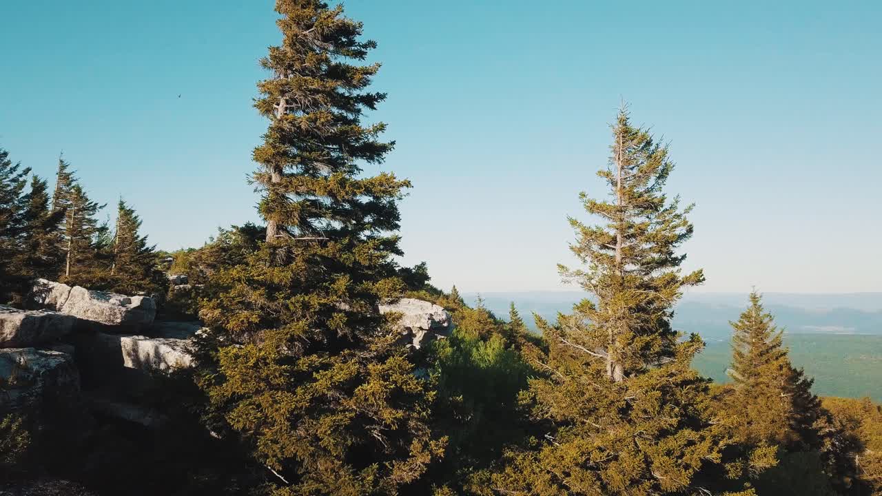 Scenic Mountain Landscape with Rocks and Trees