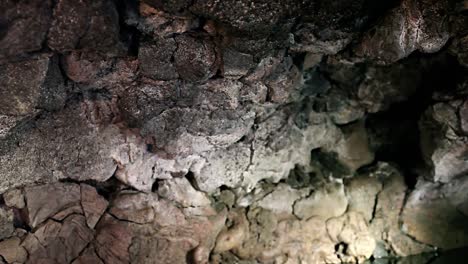 los murciélagos vuelan alrededor de una cueva con piscina por la noche 2