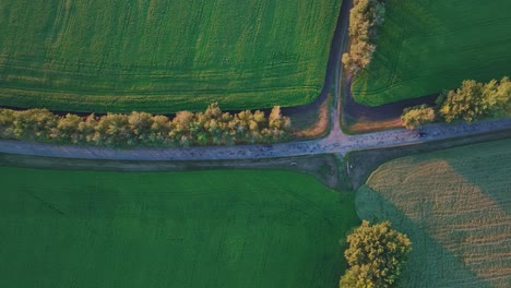 aerial view of rural landscape with road and fields