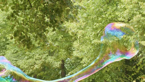 a large iridescent soap bubble drifts and morphs in slow motion against leafy green trees in natural daylight, captured with a steady camera