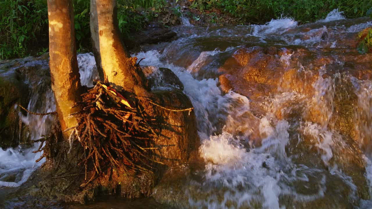 A serene view of a flowing stream surrounded by lush trees capturing essence of nature's tranquility