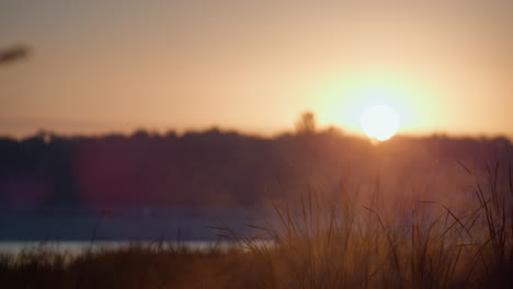 Hermoso-Fondo-Del-Amanecer-De-Otoño.-Cielo-Dorado-Sobre-Un-Tranquilo-Paisaje-Pantanoso.