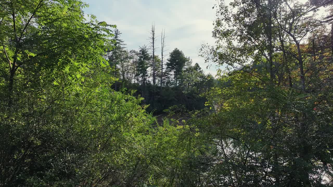 Drone view between trees and to a lake near Murphy NC