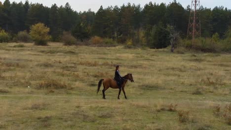 tiro de seguimiento aéreo bajo de niña montando a caballo en el campo de hierba