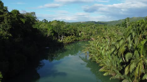 volar sobre un río maravilloso en las filipinas, rodeado de selva verde