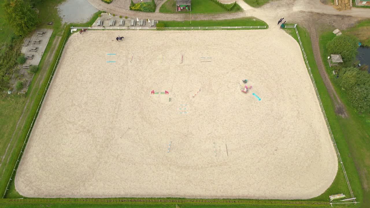 마구간 근처 목장에서 걷고 풀을 뜯는 순종 말 무리