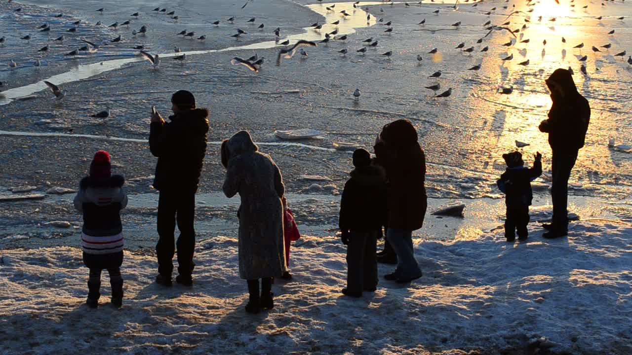 People against the sun. Sunset and seagulls