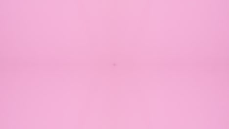 double effect manicure accessories appear on pastel pink theme. stop motion