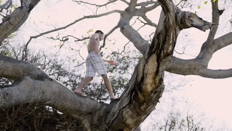 el hombre camina por encima de las ramas de los árboles con la llamarada del sol del atardecer detrás, cámara lenta