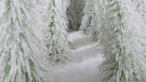 Zeitraffer-Eines-Fußabdrucks,-Der-Im-Schneebedeckten-Wald-Erscheint