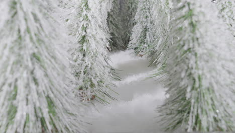 lapso de tiempo de la huella que aparece en el bosque cubierto de nieve