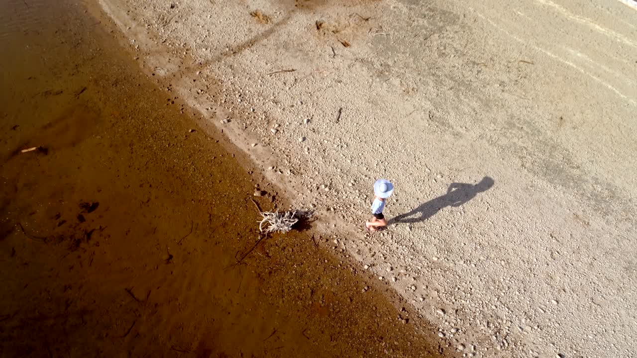 ⁇ 은 날 4k 강 연안 근처를  ⁇ 고 있는 애완동물 개와 함께 여자