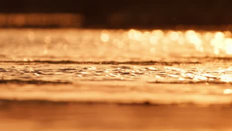 golden sunset reflections on water