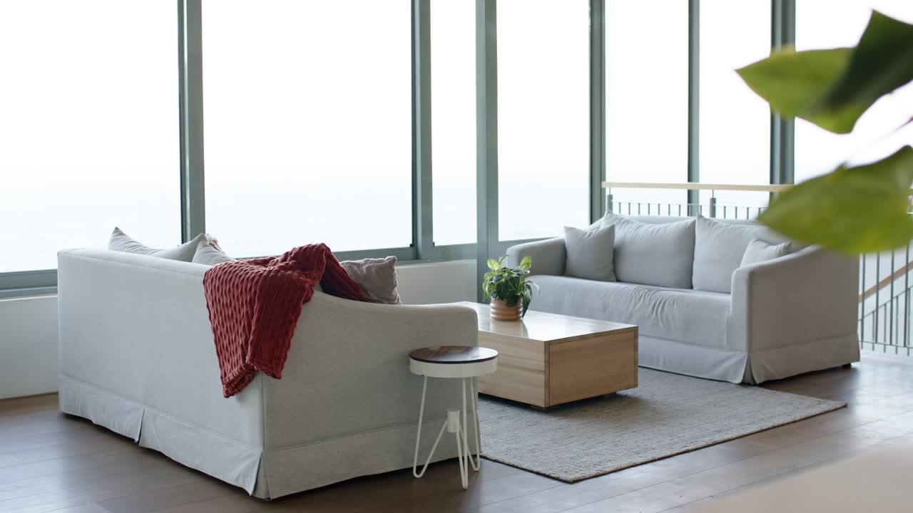 Daylight shifting through tall windows is streaming across white sofa and leafy plant as sun rises