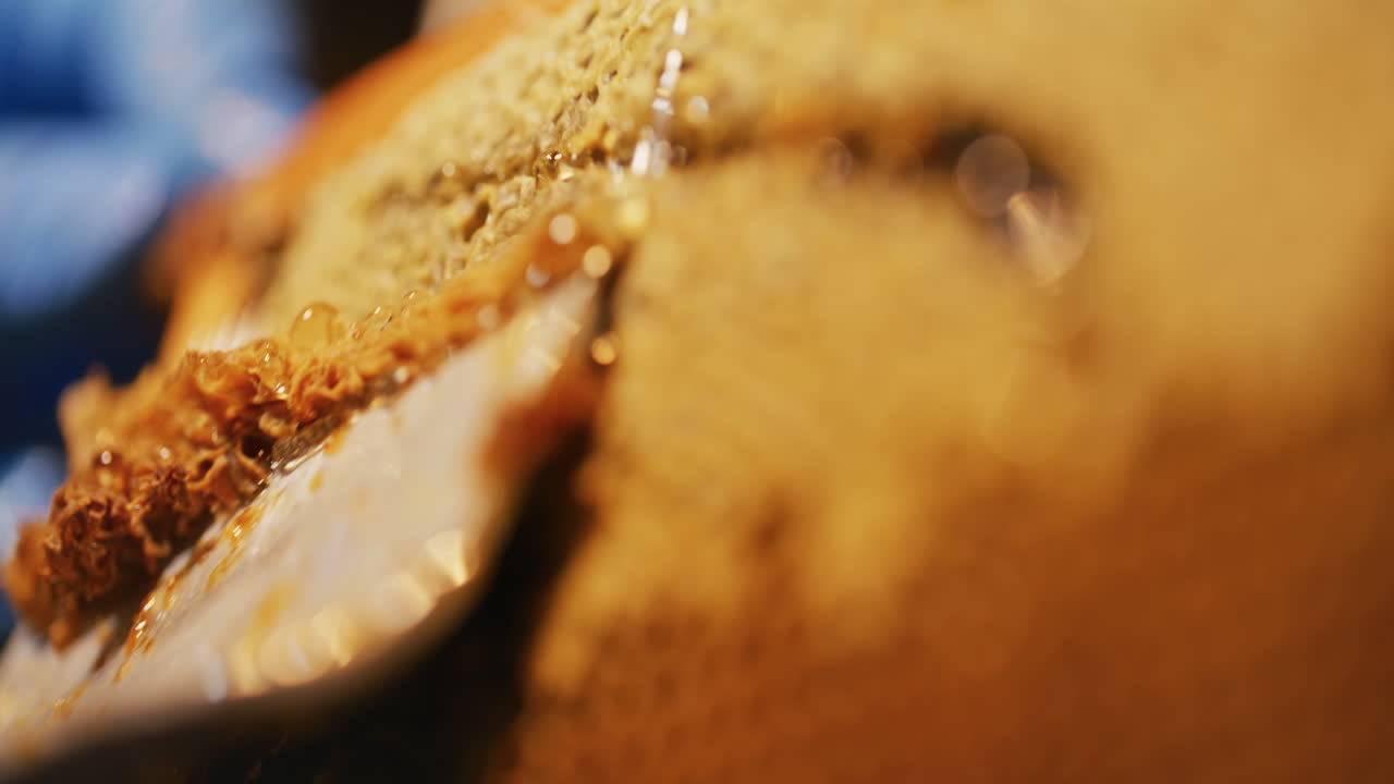 Fresh Appetizing Looking Honeycomb