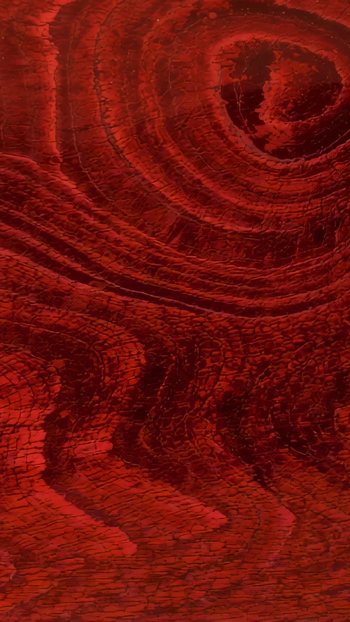 Vertical video: Shifting camera revealing inner rings, dark knot and finish in red wood close-up
