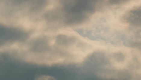 Two-eagles-fly-across-the-sky-as-sunlight-tries-to-break-the-clouds