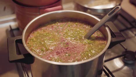 sopa hirviendo en estufa de gas en la cocina con cucharón en la olla - primer plano, tiro estático