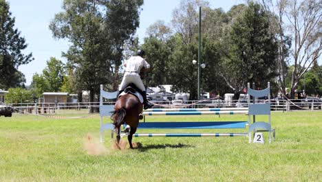 horse and rider jumping over a blue obstacle