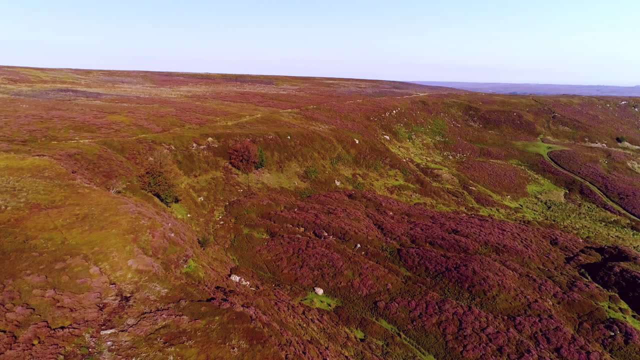 Nortyork-Maurenheide in Danby Dale Luft-Drohnenaufnahmen von blühender Heide im Sommer – Clip 7.