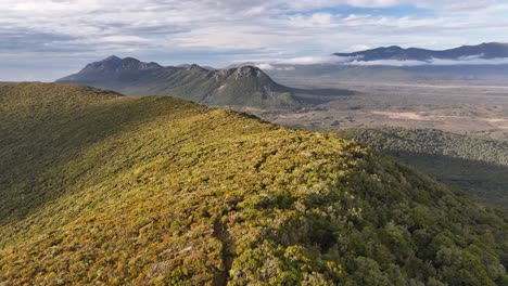 Hiking-track-over-forested-hill-and-rocky-mountains-on-horizon