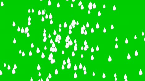 rain water drop animation motion graphics on green screen background for video elements