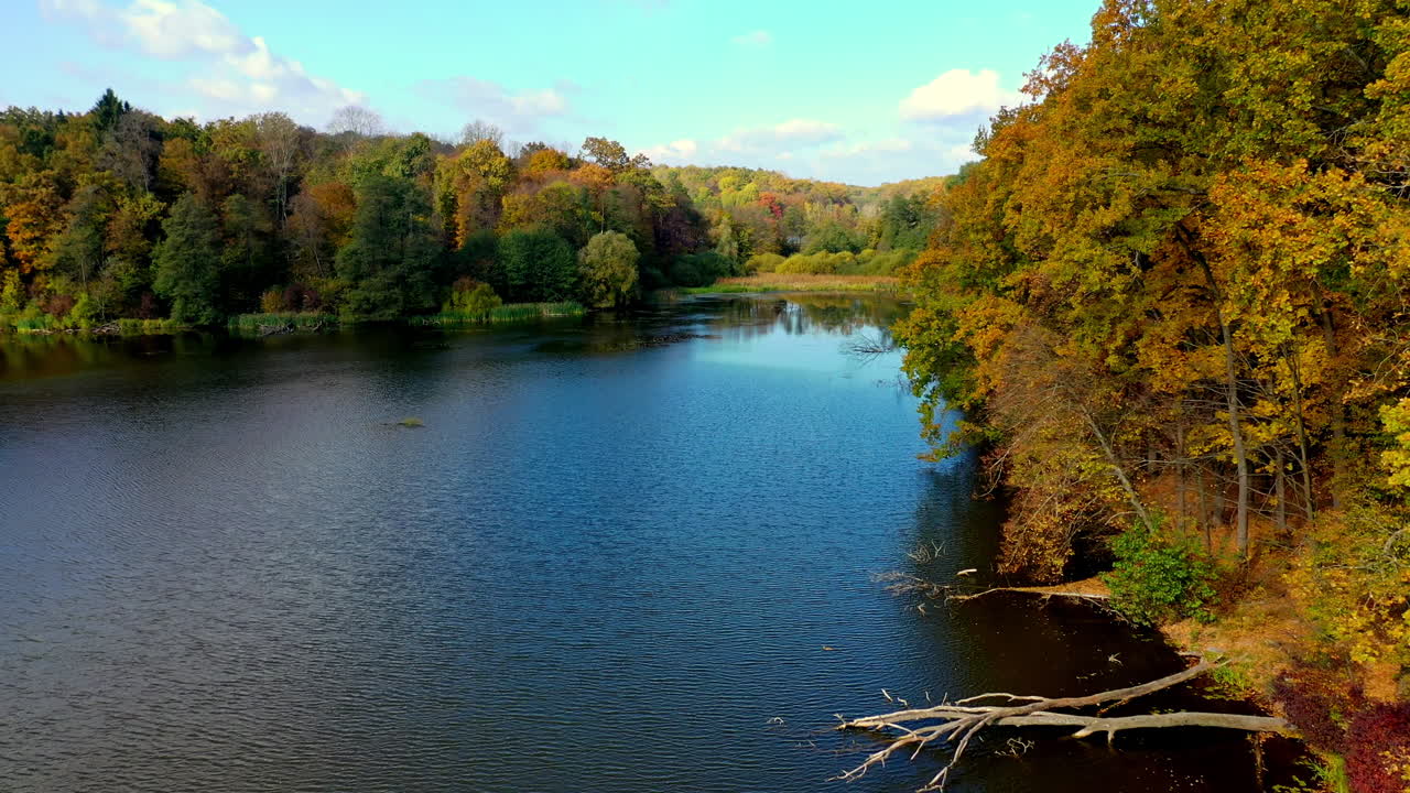 Colorful trees in autumn forest on the river bank. Family having picnic at the waterfront. Drone footage over the river in the woods.
