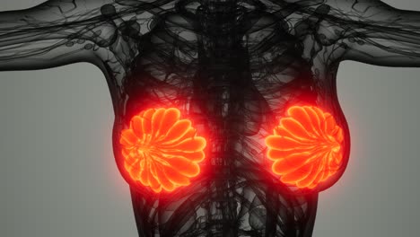 exploración médica del cáncer de mama de la mujer
