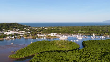 drone footage captures lush mangroves, winding river, and coastal town under clear skies in port douglas, australia