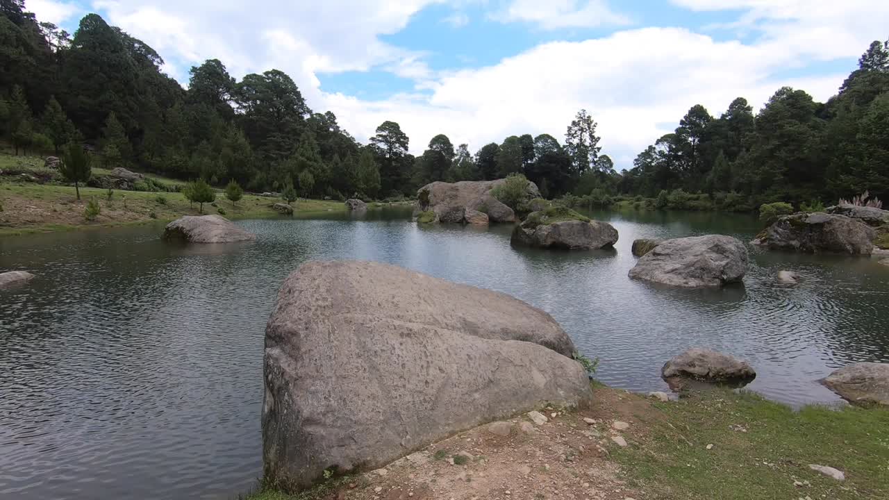 View of rocky lake in a forest during a beautiful day