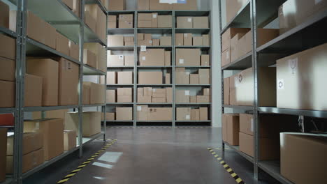 warehouse interior with cardboard boxes on metal shelving