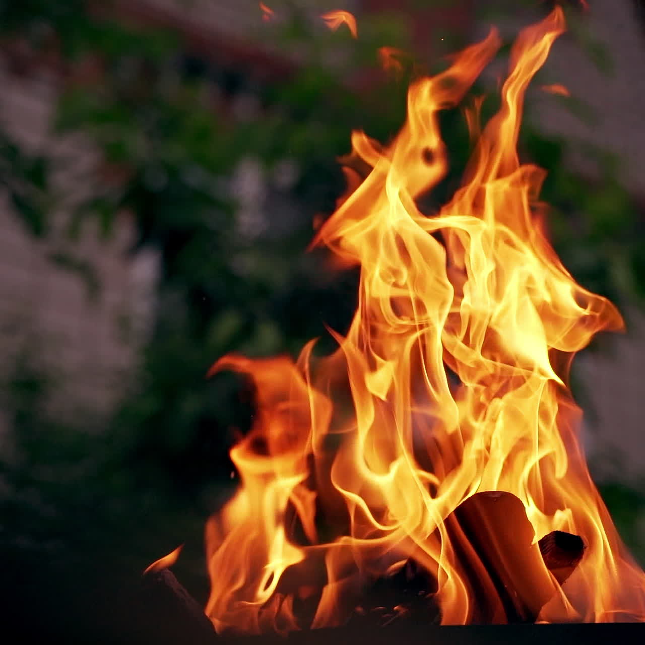 Bonfire. Burning logs in orange flames. Beautiful fire burns brightly. Slow motion