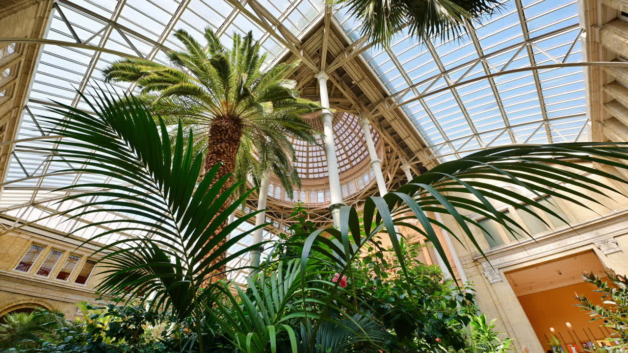 The winter garden of the Ny Carlsberg Glyptotek art museum in Copenhagen, Denmark