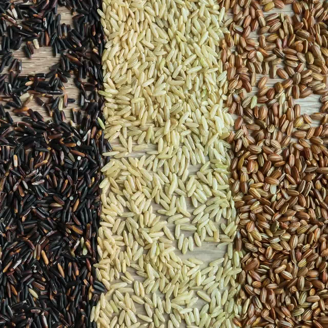 스톱 모션 비디오 1