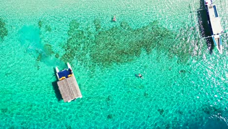 tourenboote schweben über dem ruhigen, klaren wasser der türkisfarbenen lagune, wo menschen über wunderschönen korallenriffen schnorcheln und tropische fische in malaysia beobachten