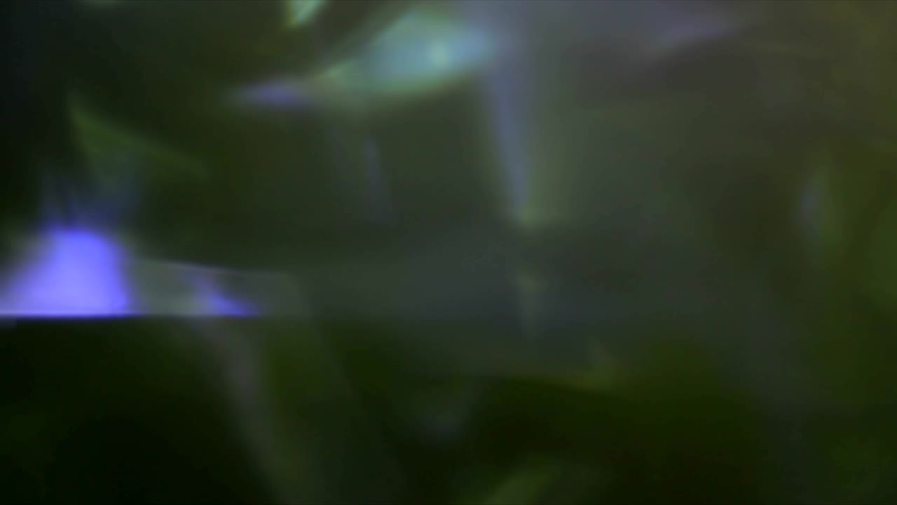 Light Leaks Element 54