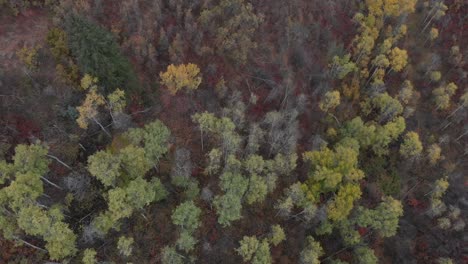 Drohnenaufnahmen-Von-Herbstfarben-In-Den-Bergen