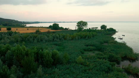 Vuelo-Sobre-Exuberantes-Lechos-De-Juncos-En-El-Lago-Trasimeno,-Provincia-De-Perugia,-Umbría,-Italia