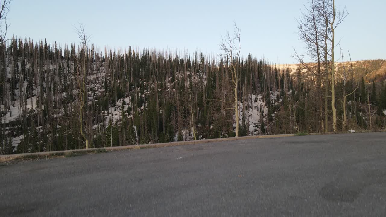 리오 그란데 국유림에서 이륙하는 드론